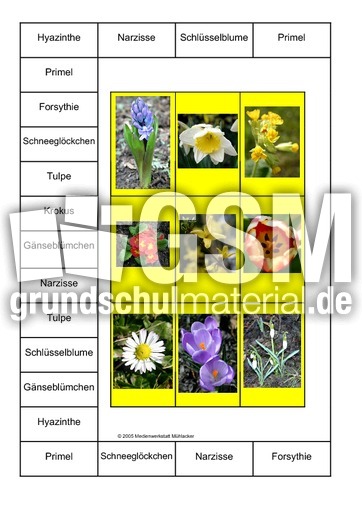 Bingo-Frühlingsblumen-1A.pdf